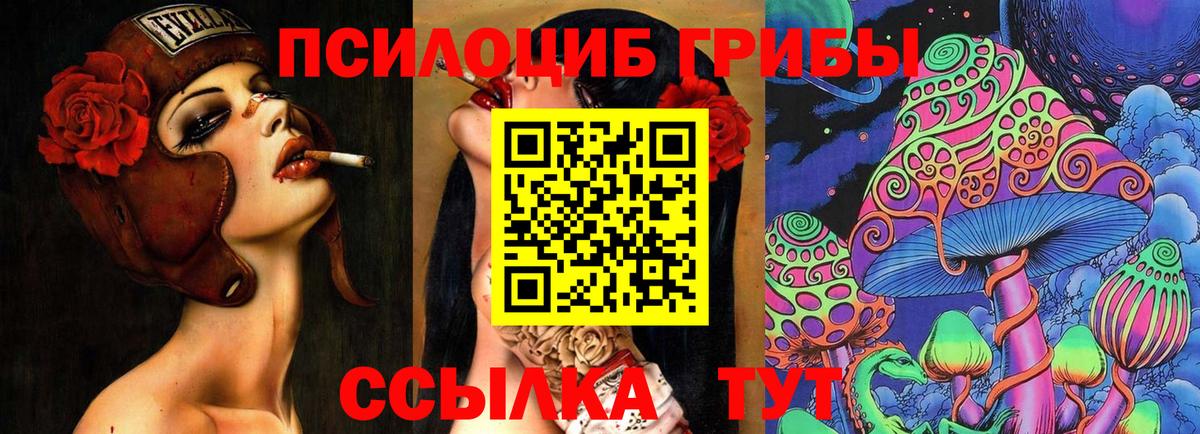 Севастополь  Галлюциногенные грибы Cubensis  Вход с VPN  Галлюциногенные грибы Psilocybine cubensis 