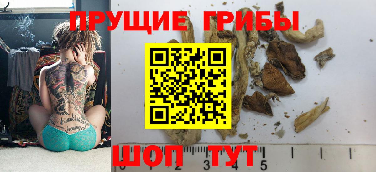 Галлюциногенные грибы GOLDEN TEACHER Севастополь